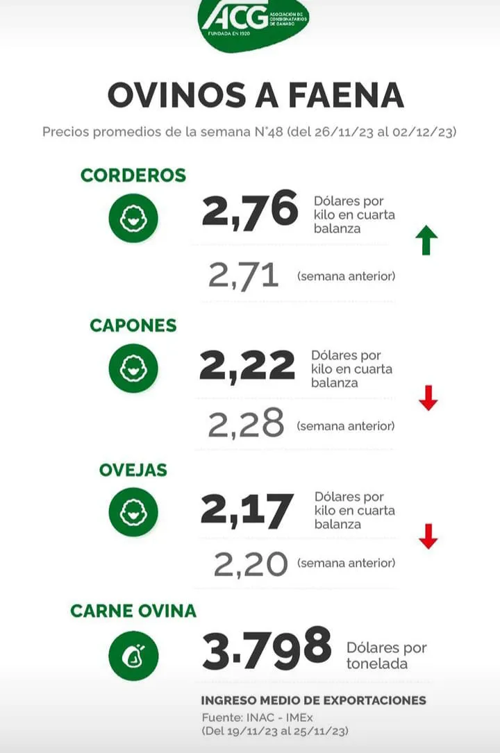 WhatsApp Image 2023-12-05 at 07.55.38