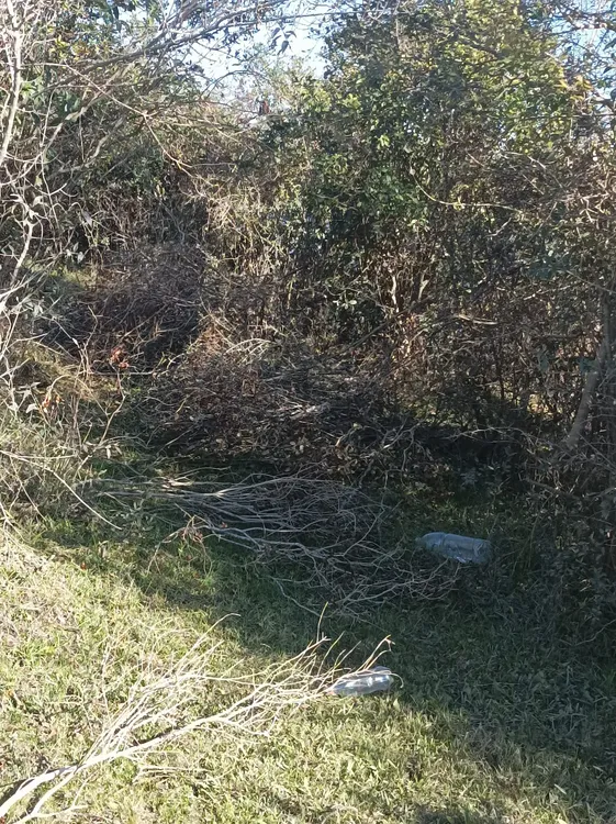 453207279_500565485948472_7114028786186122964_n