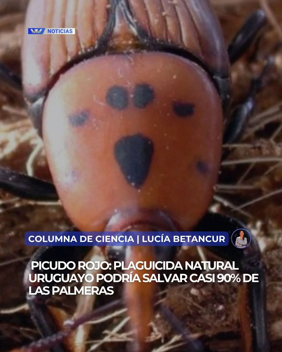 FB_IMG_1772664771848