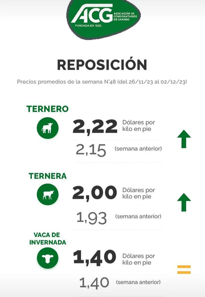 WhatsApp Image 2023-12-05 at 07.55.38 (1)