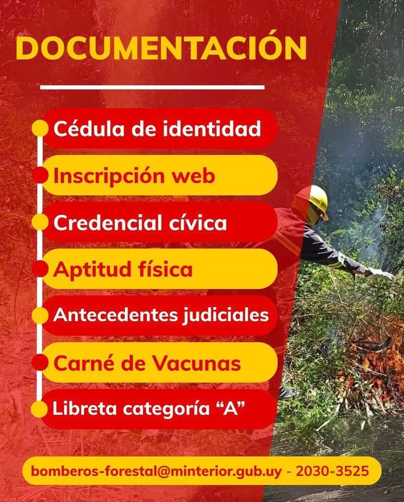 FB_IMG_1758209823259