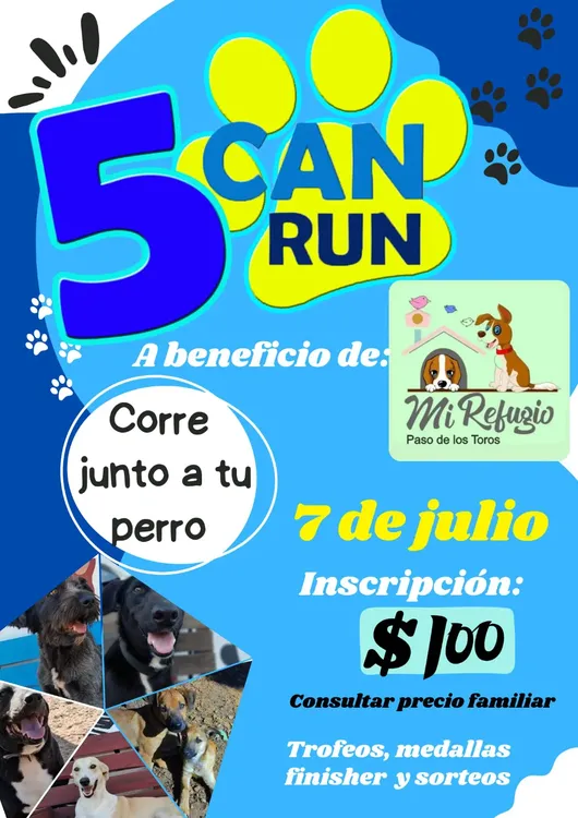 WhatsApp Image 2024-06-06 at 15.38.43