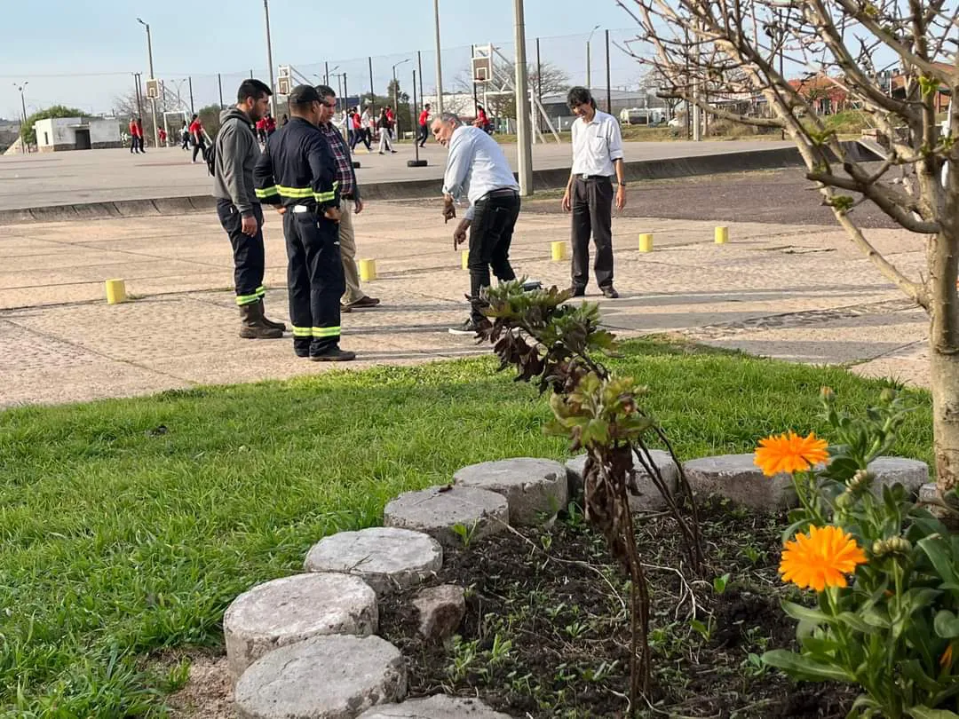 FB_IMG_1721765768782