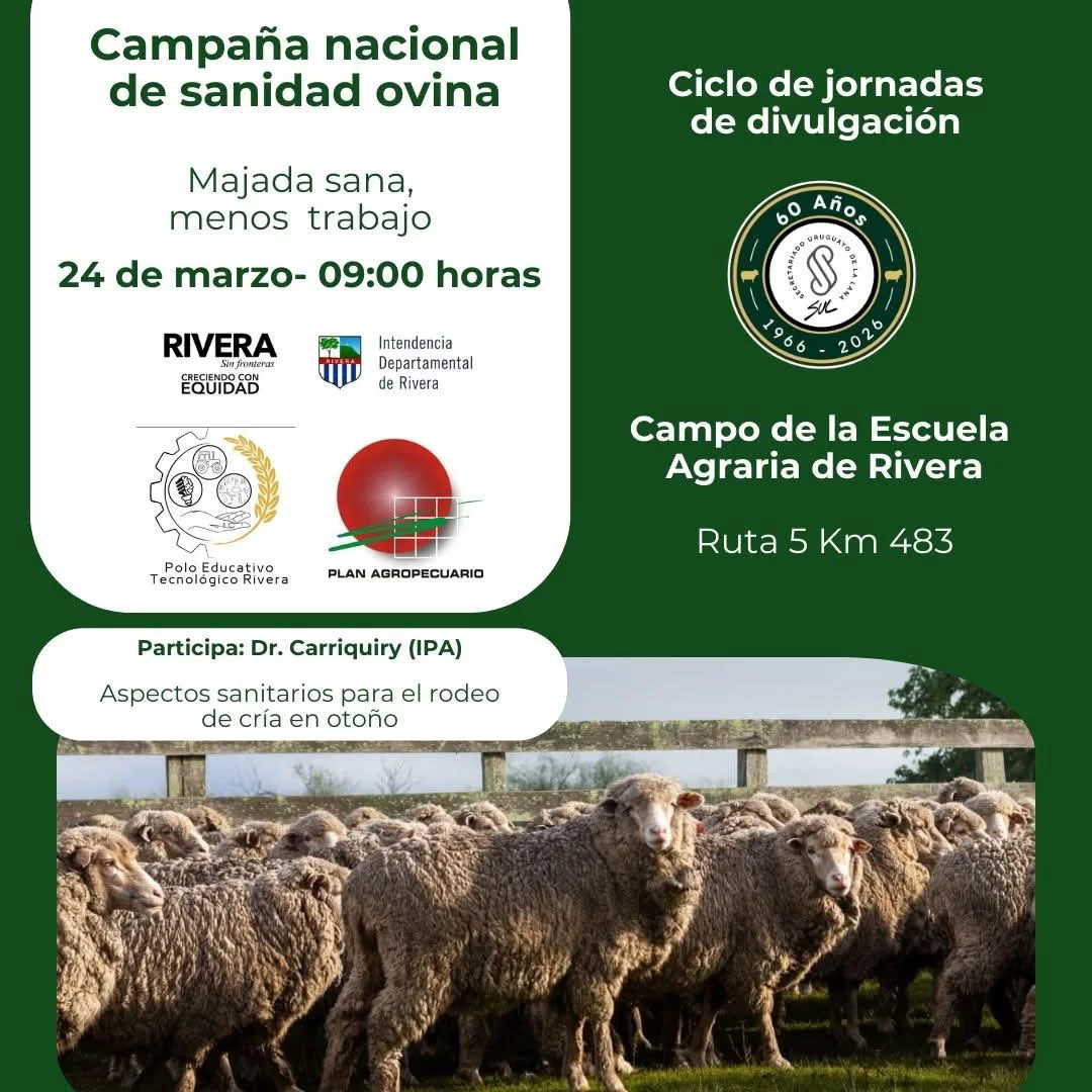 FB_IMG_1774038151559