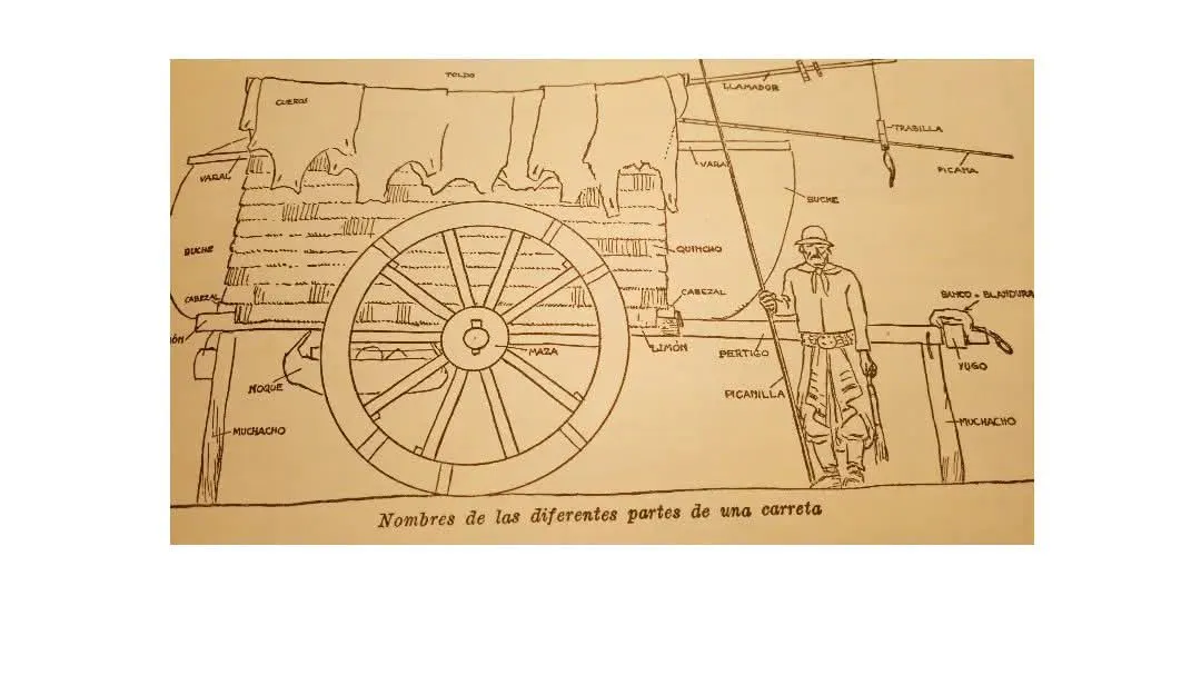 FB_IMG_1748215249854