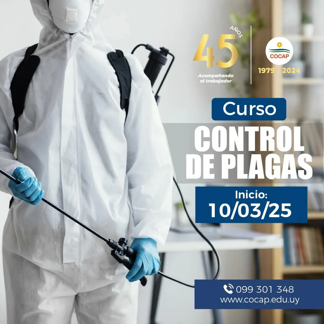 FB_IMG_1737588158896