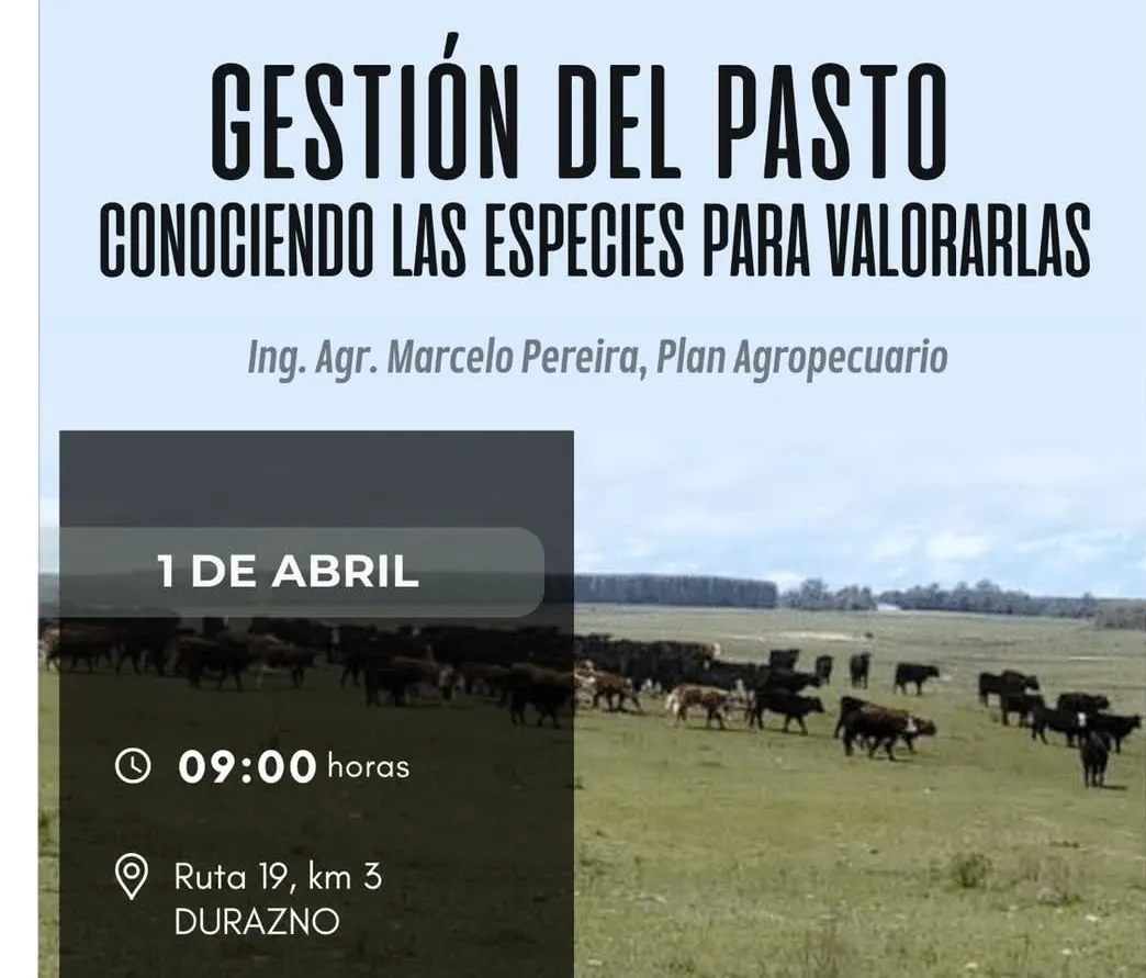 Screenshot_20250322_182843_Facebook