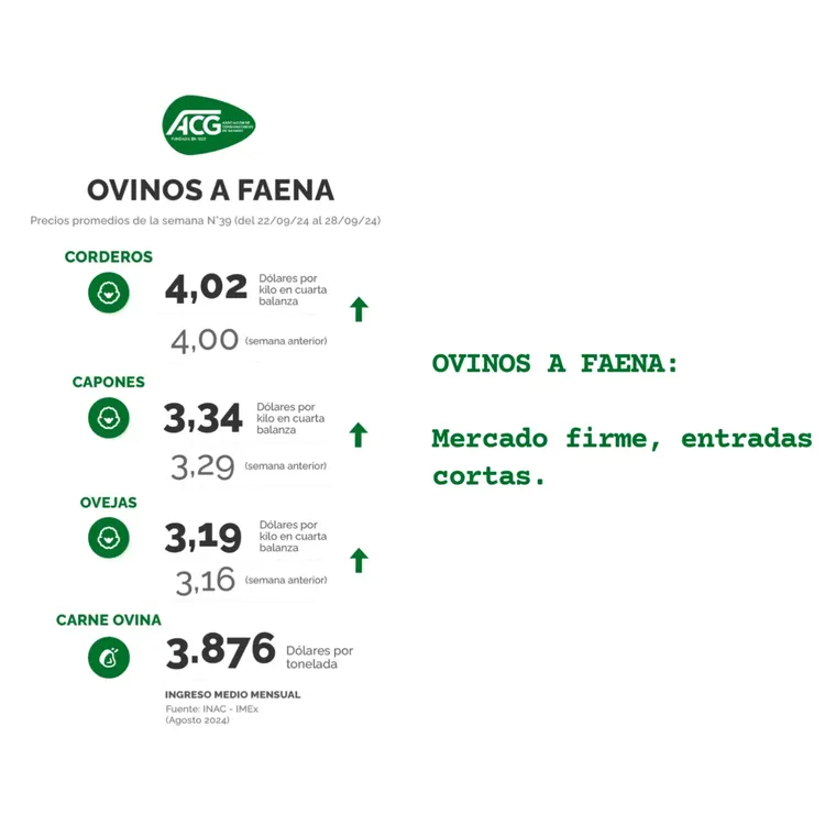 InShot_20241007_225235316