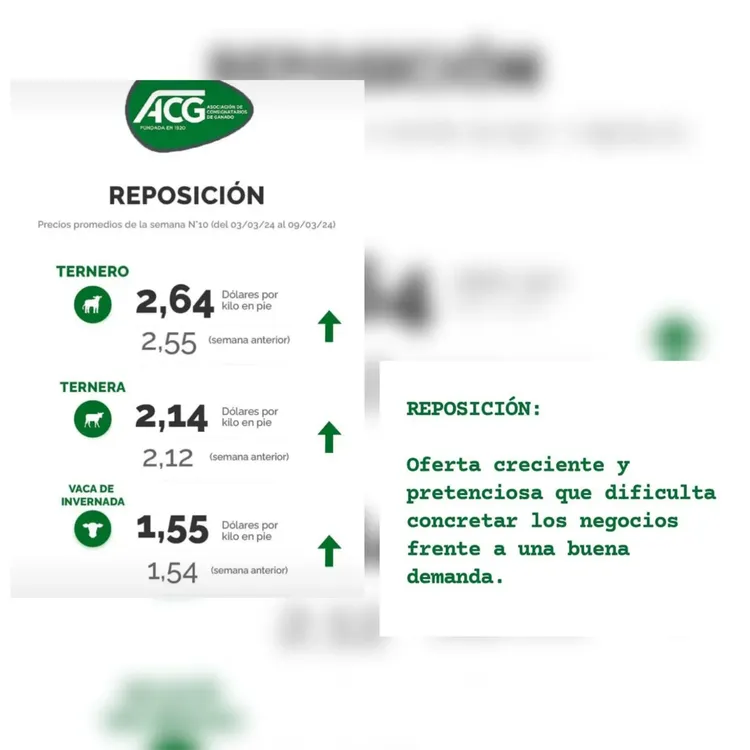 WhatsApp Image 2024-03-12 at 16.01.08