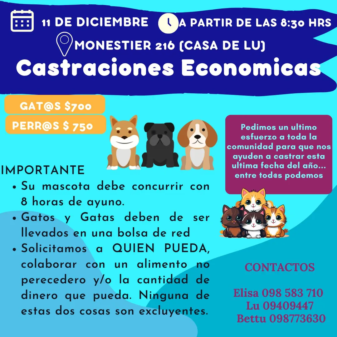 WhatsApp Image 2023-12-01 at 12.28.18 (1)