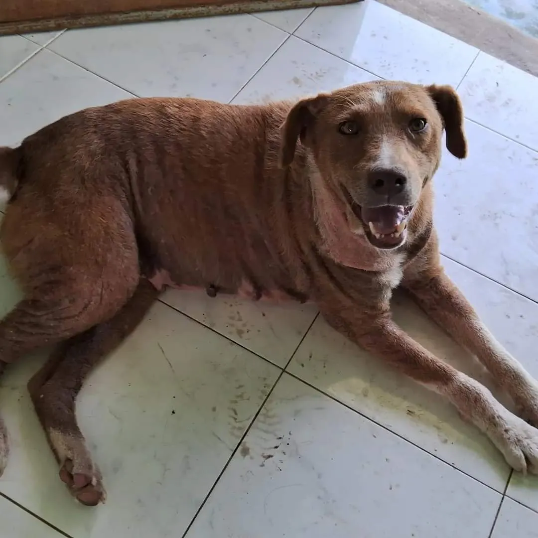 WhatsApp Image 2024-02-05 at 09.12.03