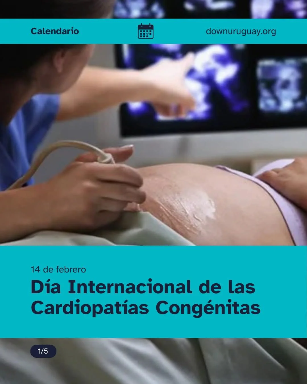 FB_IMG_1771072735611