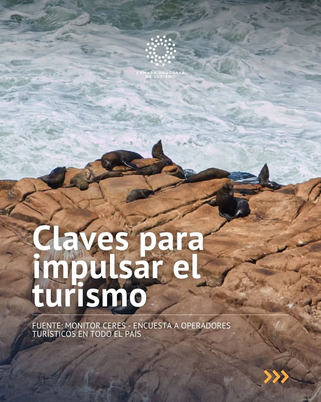 FB_IMG_1769538674462