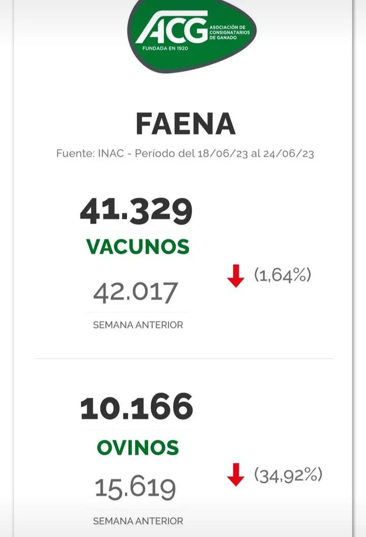 WhatsApp Image 2023-06-27 at 11.41.38 (2)