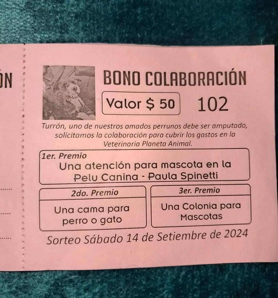 FB_IMG_1724847935139