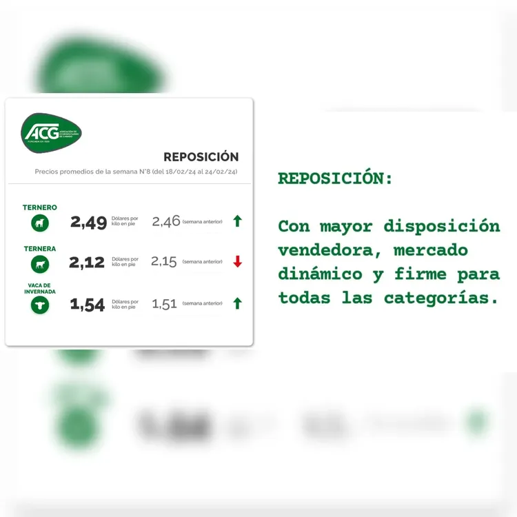 WhatsApp Image 2024-02-27 at 08.29.26