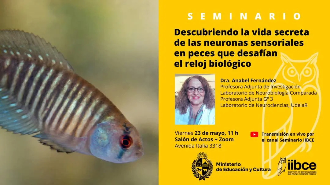 FB_IMG_1747902708081