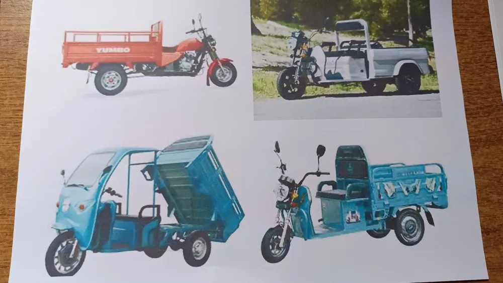 WhatsApp Image 2024-05-27 at 15.18.26