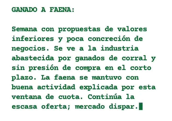 WhatsApp Image 2023-05-09 at 08.01.11 (1)