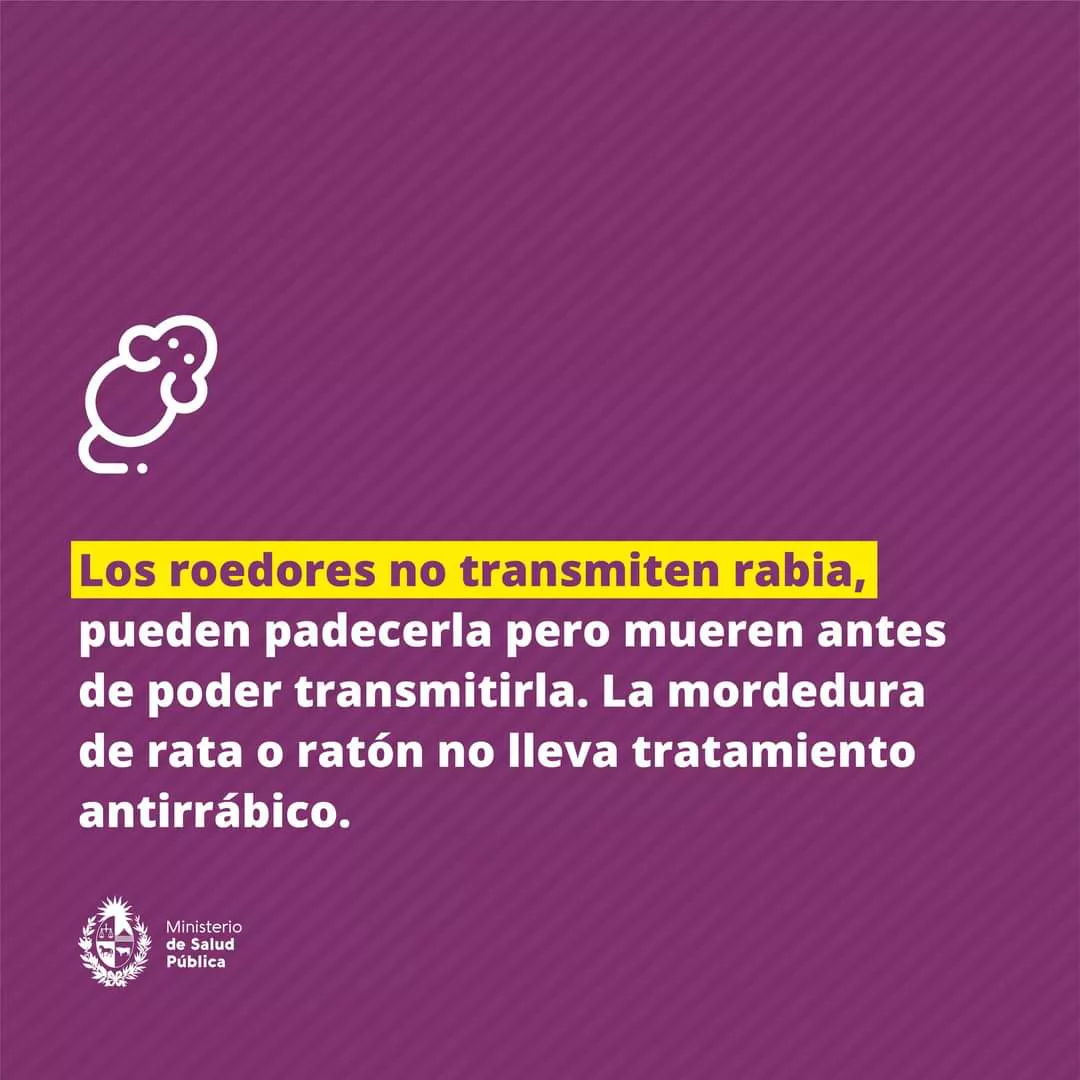 WhatsApp Image 2023-04-04 at 22.55.18