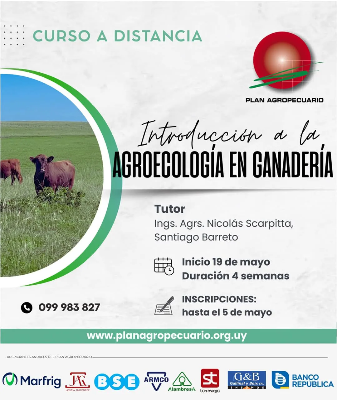 FB_IMG_1745616280522