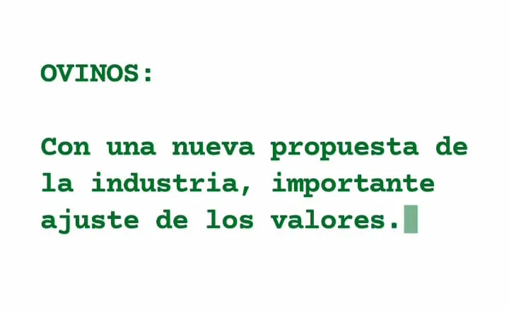 WhatsApp Image 2023-05-16 at 09.05.30 (1)