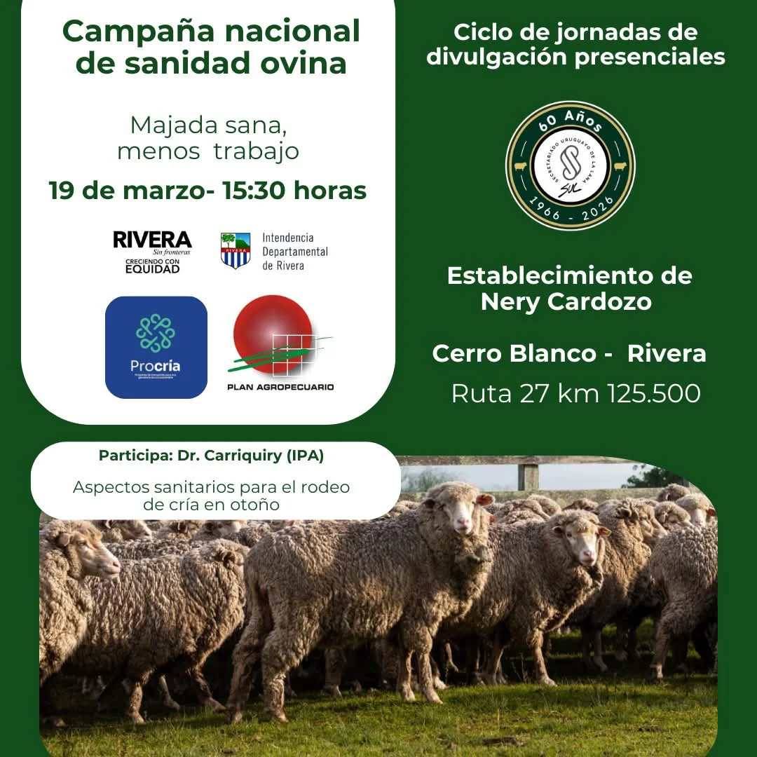 FB_IMG_1773783189066