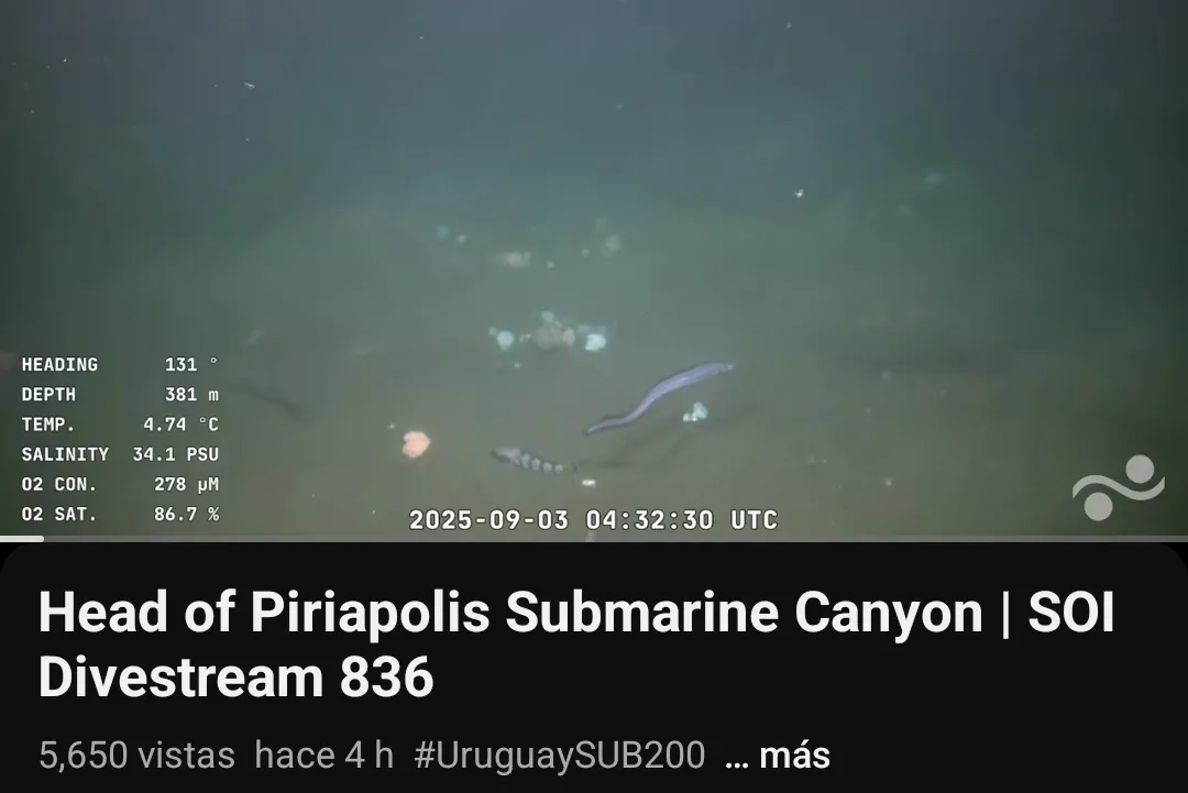 Screenshot_20250903_053622_YouTube