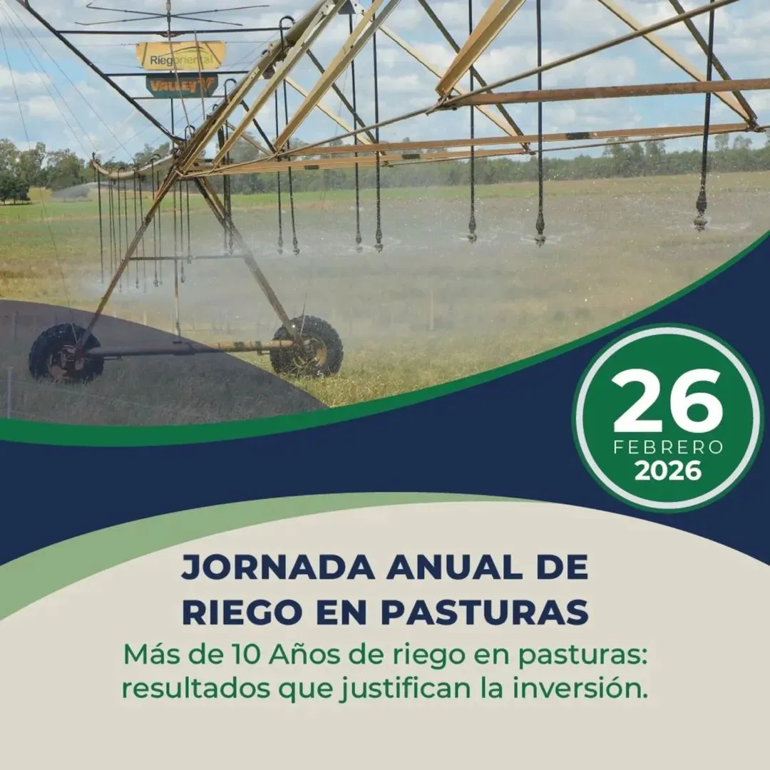 FB_IMG_1769628431191