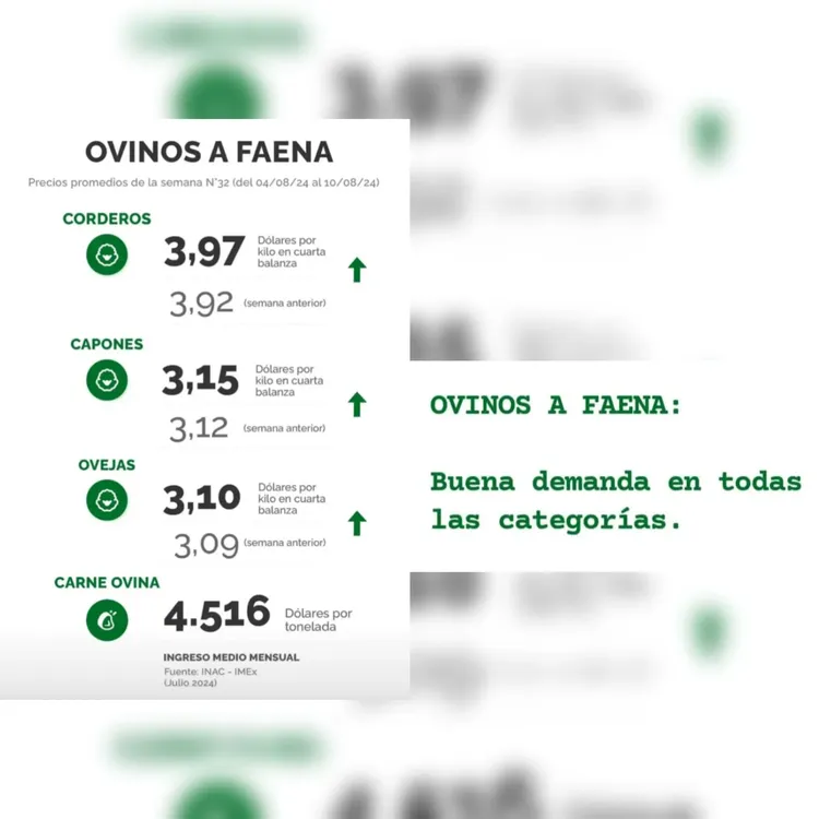 InShot_20240813_100618829