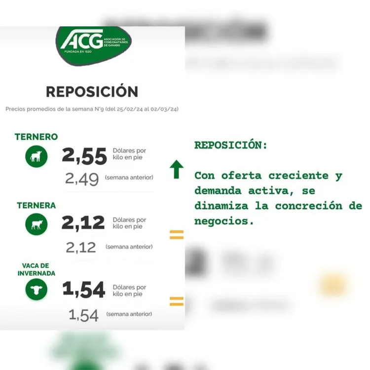 WhatsApp Image 2024-03-05 at 09.21.07 (1)