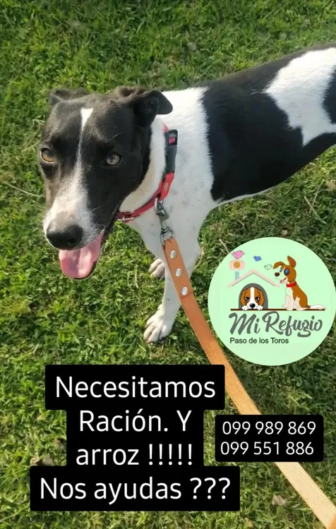 WhatsApp Image 2024-03-02 at 12.45.53