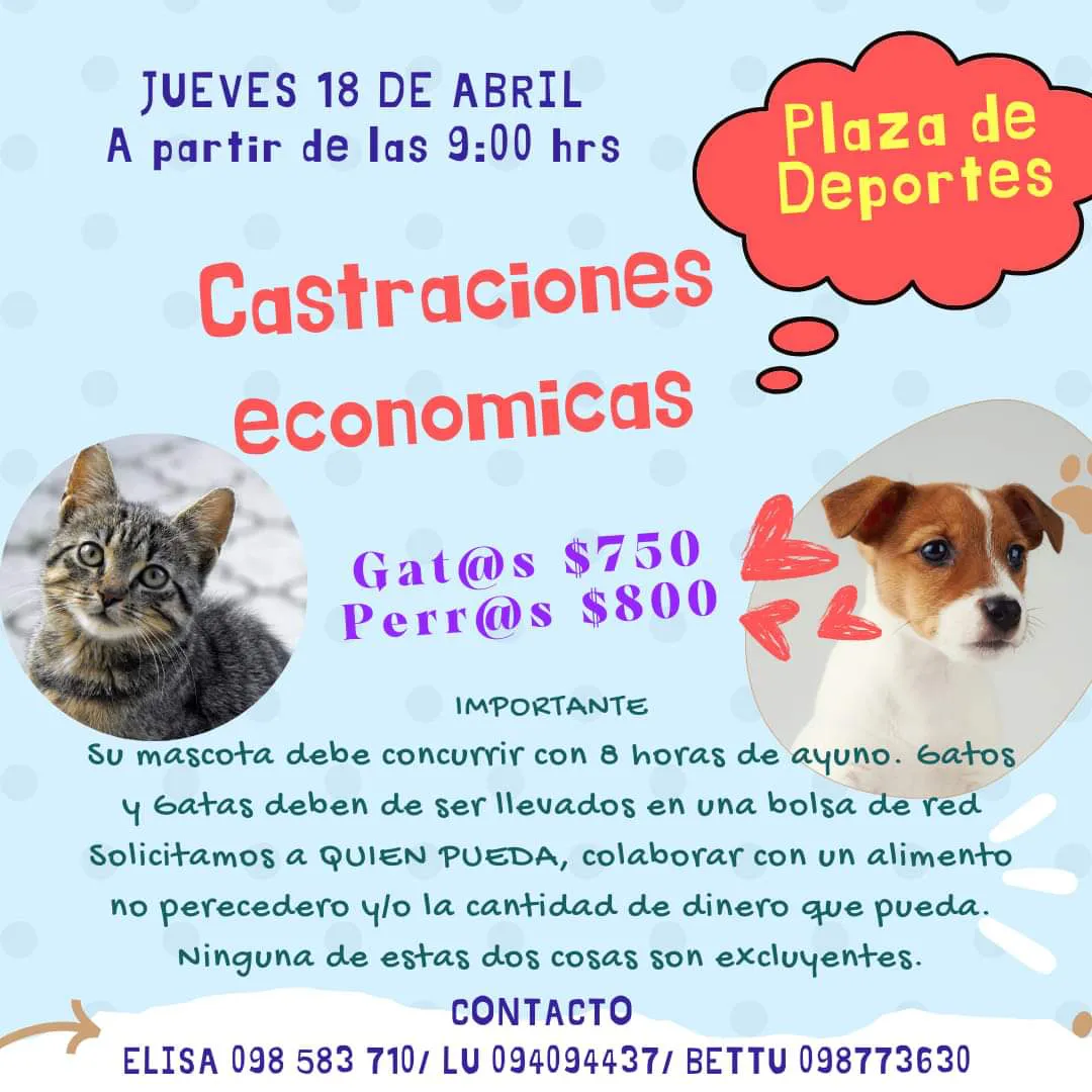 FB_IMG_1713182739695