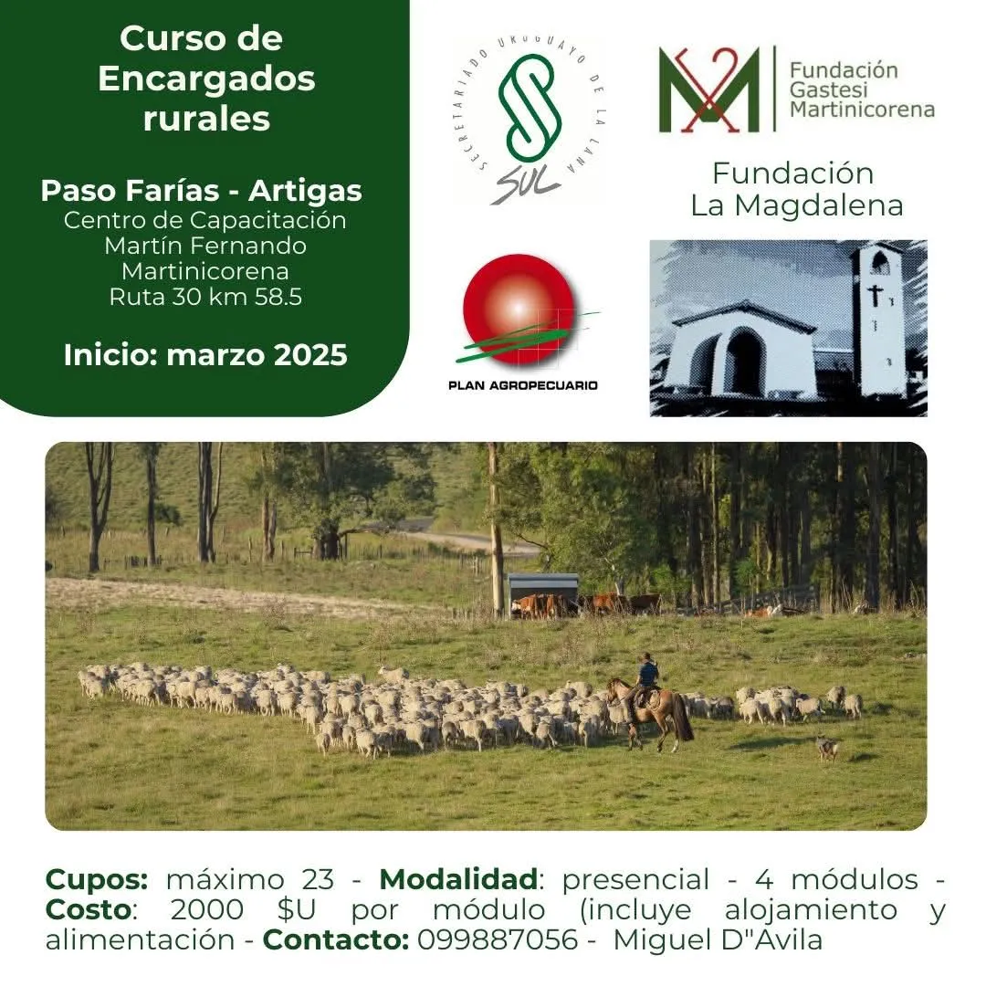 FB_IMG_1742146846310