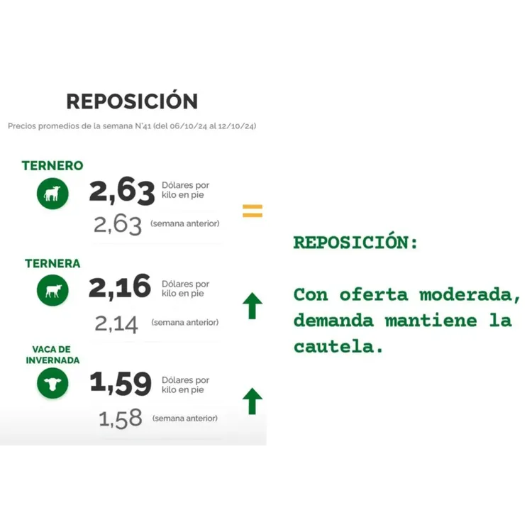 InShot_20241014_221501606