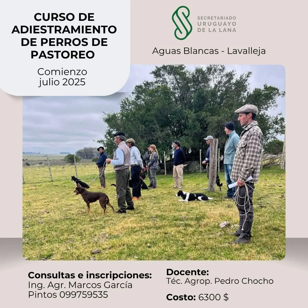 FB_IMG_1753307461226