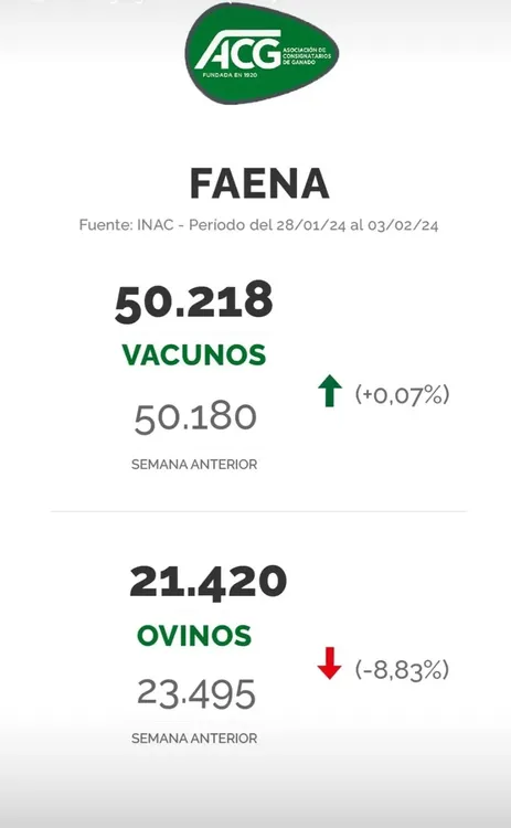 WhatsApp Image 2024-02-06 at 14.24.01