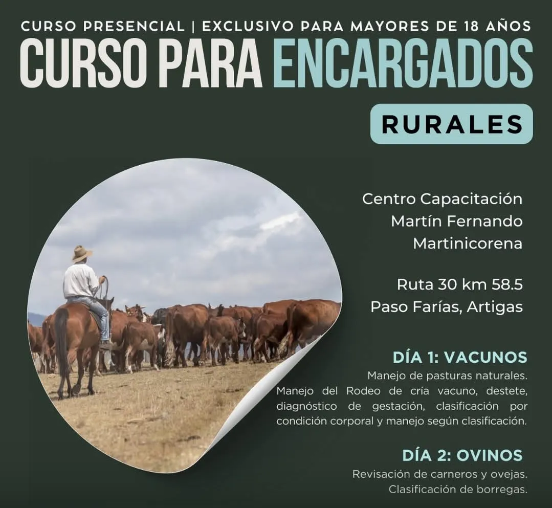 Screenshot_20250312_123709_Facebook