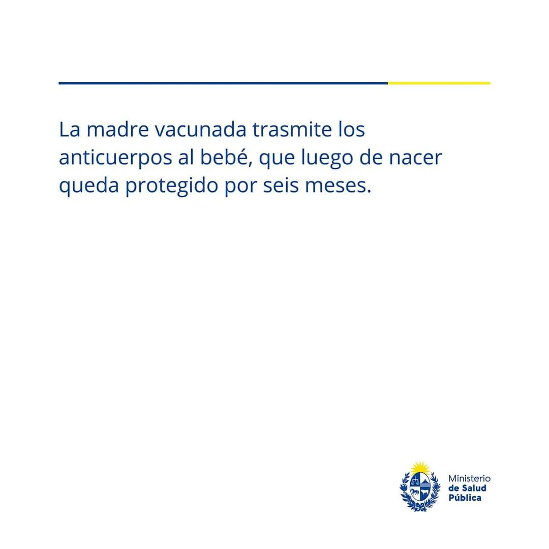 FB_IMG_1725454768398