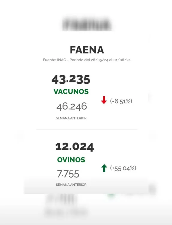 InShot_20240604_091439324