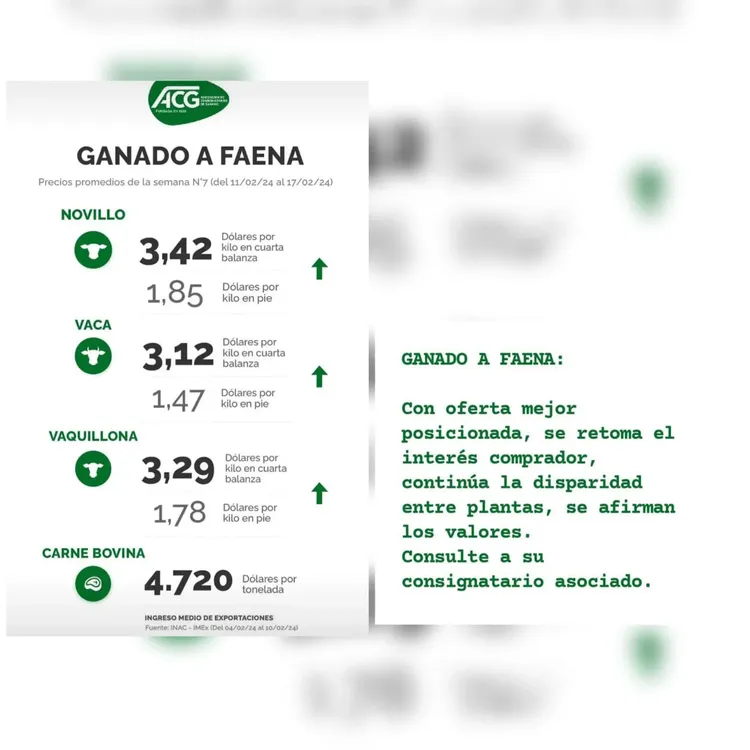 WhatsApp Image 2024-02-20 at 08.52.30