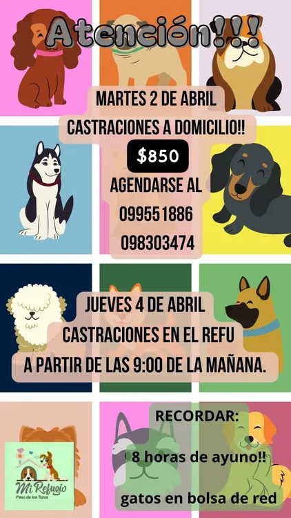 WhatsApp Image 2024-04-01 at 14.47.03