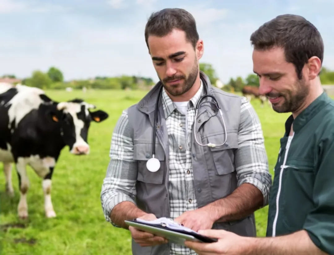 Screenshot_20250212_193905_Facebook