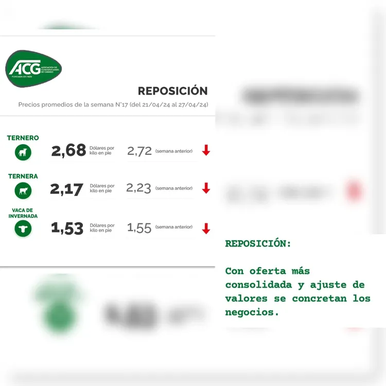 WhatsApp Image 2024-04-30 at 08.45.43