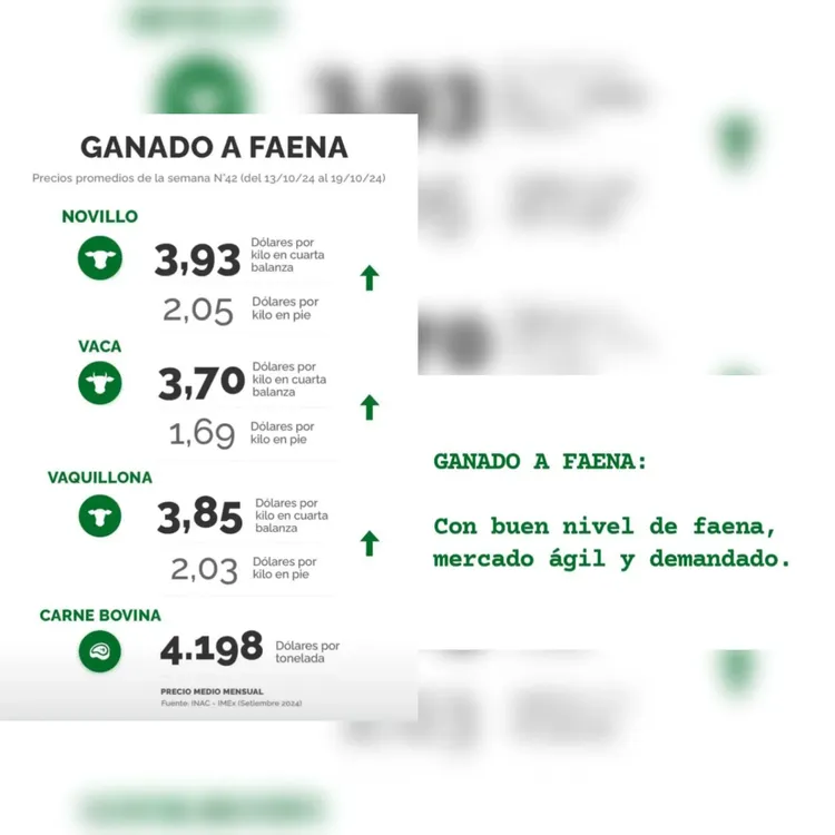 InShot_20241022_104158006