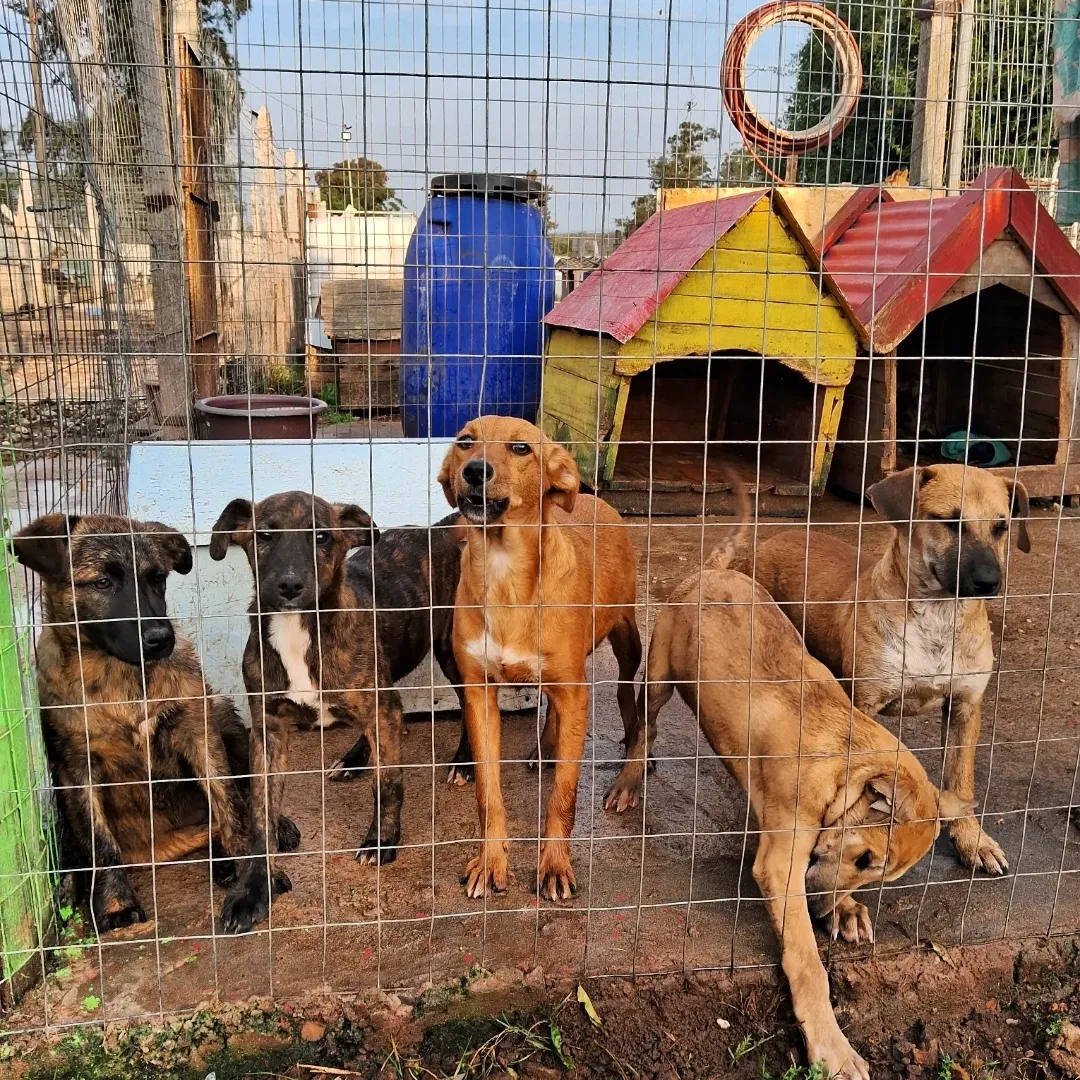 448115963_491795196532911_4298484151548907338_n