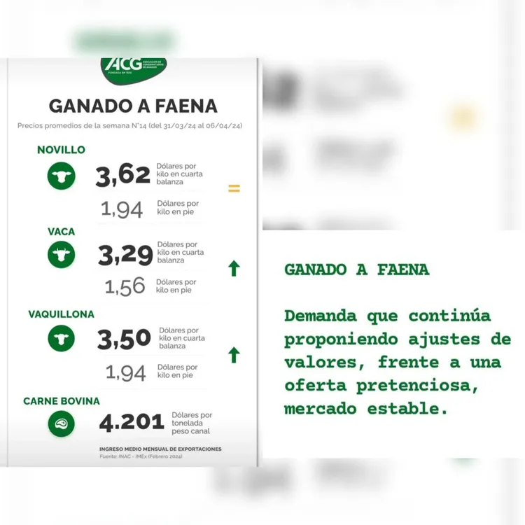 InShot_20240409_091825008