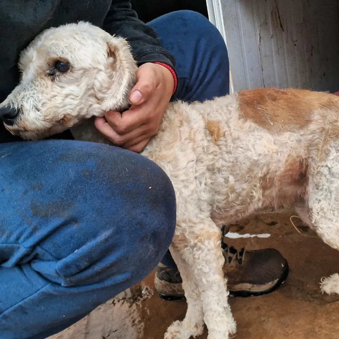 443715765_476673198045111_2580600006255677609_n