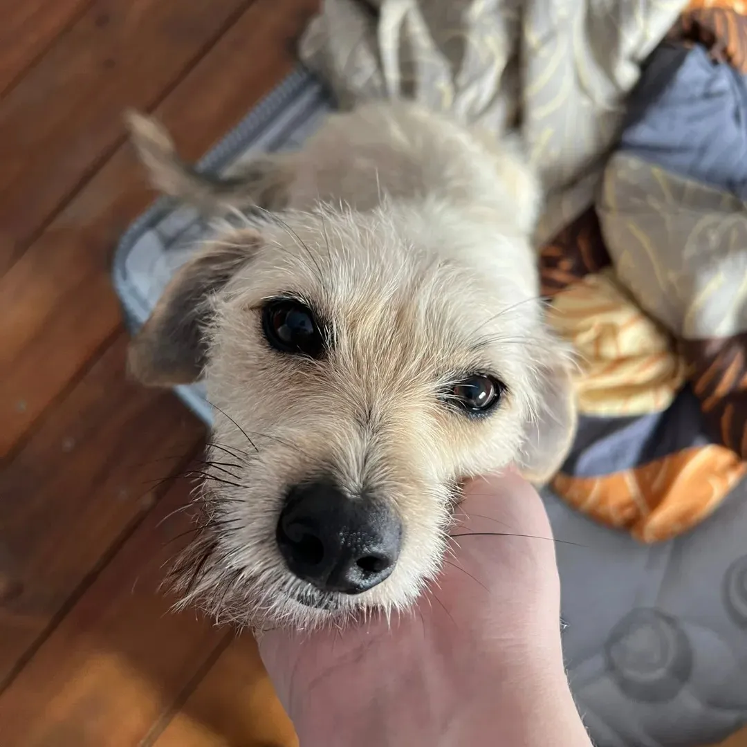 448114834_491789796533451_1868065619363292358_n