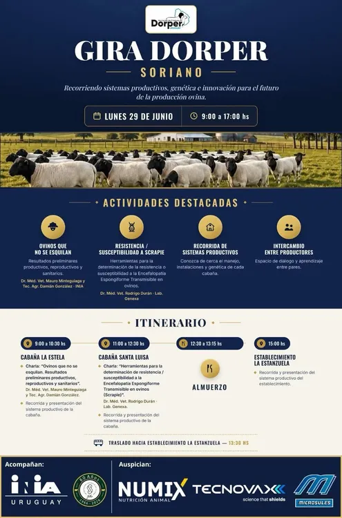 FB_IMG_1782226715818